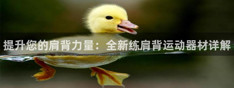 征途国际平台体育:提升您的肩背力量:全新练肩背运动器材详解