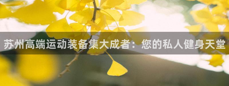 海南征途国际:苏州高端运动装备集大成者:您的私人健身天堂