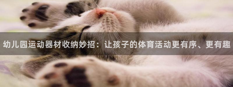 征途国际是干嘛的公司:幼儿园运动器材收纳妙招:让孩子的体育活