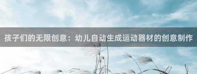 征途国际是干嘛的公司:孩子们的无限创意:幼儿自动生成运动器材