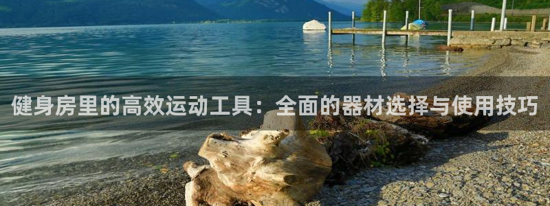 征途国际平台注册流程图:健身房里的高效运动工具:全面的器材选