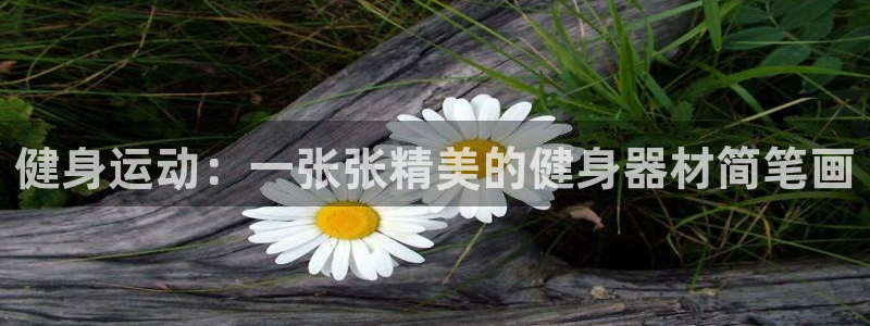 征途国际平台体育:健身运动:一张张精美的健身器材简笔画