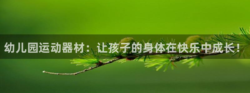 征途国际科技:幼儿园运动器材:让孩子的身体在快乐中成长!