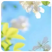 点赞关注兼职