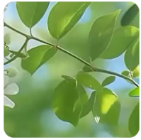抖音运营示意图怎么做好